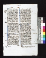 Biblia sacra Latina, versio vulgata: fragment
