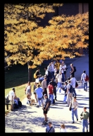Students walking Quarter Mile