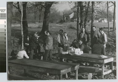 Picnic, Rochester Institute of Technology students at local park