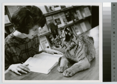Student activities, Spirit the Rochester Institute of Technology tiger mascot in the Spring Street Library, with a student, Downtown campus, 1963