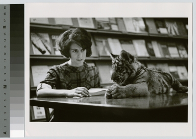Student activities, Spirit the Rochester Institute of Technology tiger mascot in the Spring Street Library with a student, Downtown campus, 1963