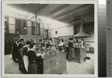 Academics, chemistry, female students in a food analysis laboratory, [1900-1920]