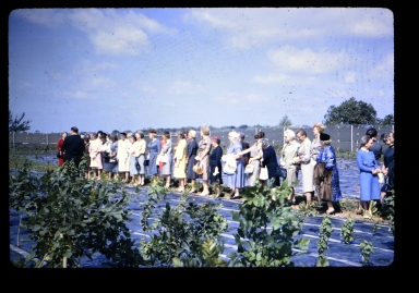 Women standing in field