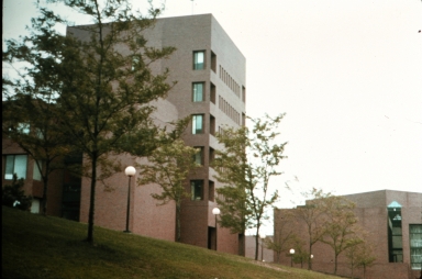 Hill beside library