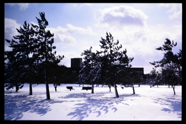 Campus covered in snow
