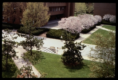 Campus in spring