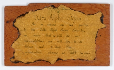 New Position of Advisors of Delta Alpha Sigma plaque