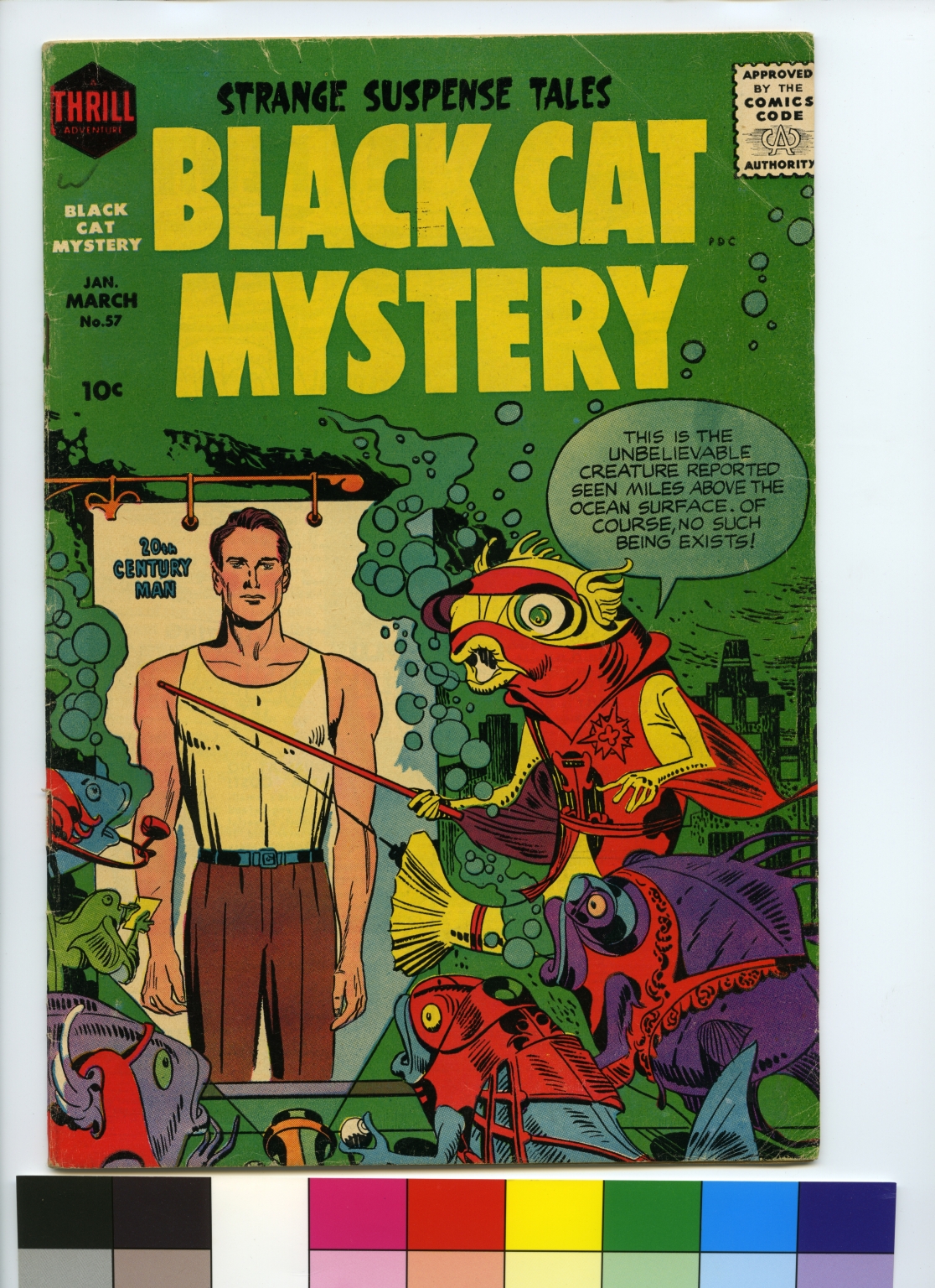 Black Cat Mystery