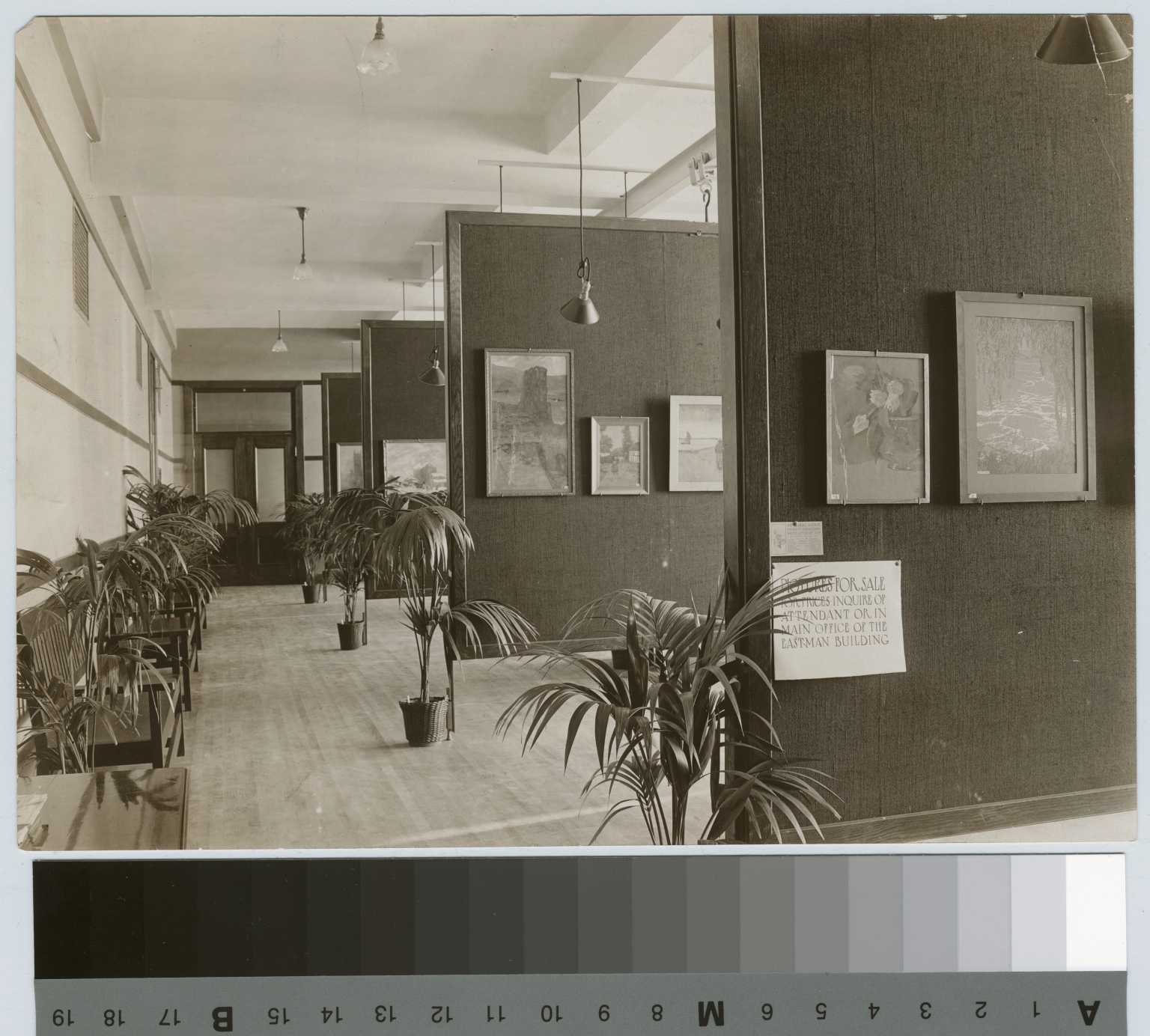 Academics, art and design. Interior view of an exhibition of student work, 1912