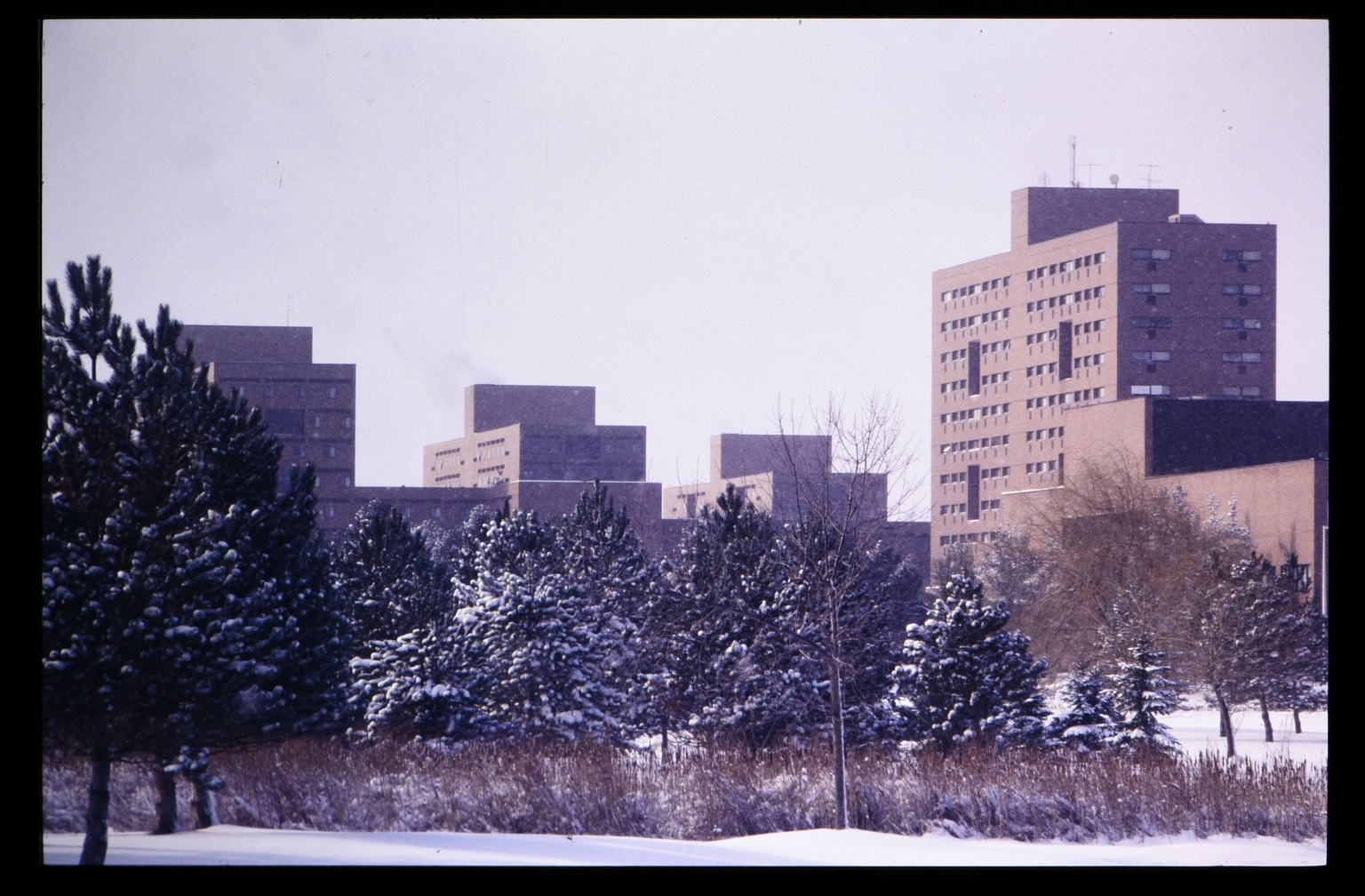 Campus buildings in winter