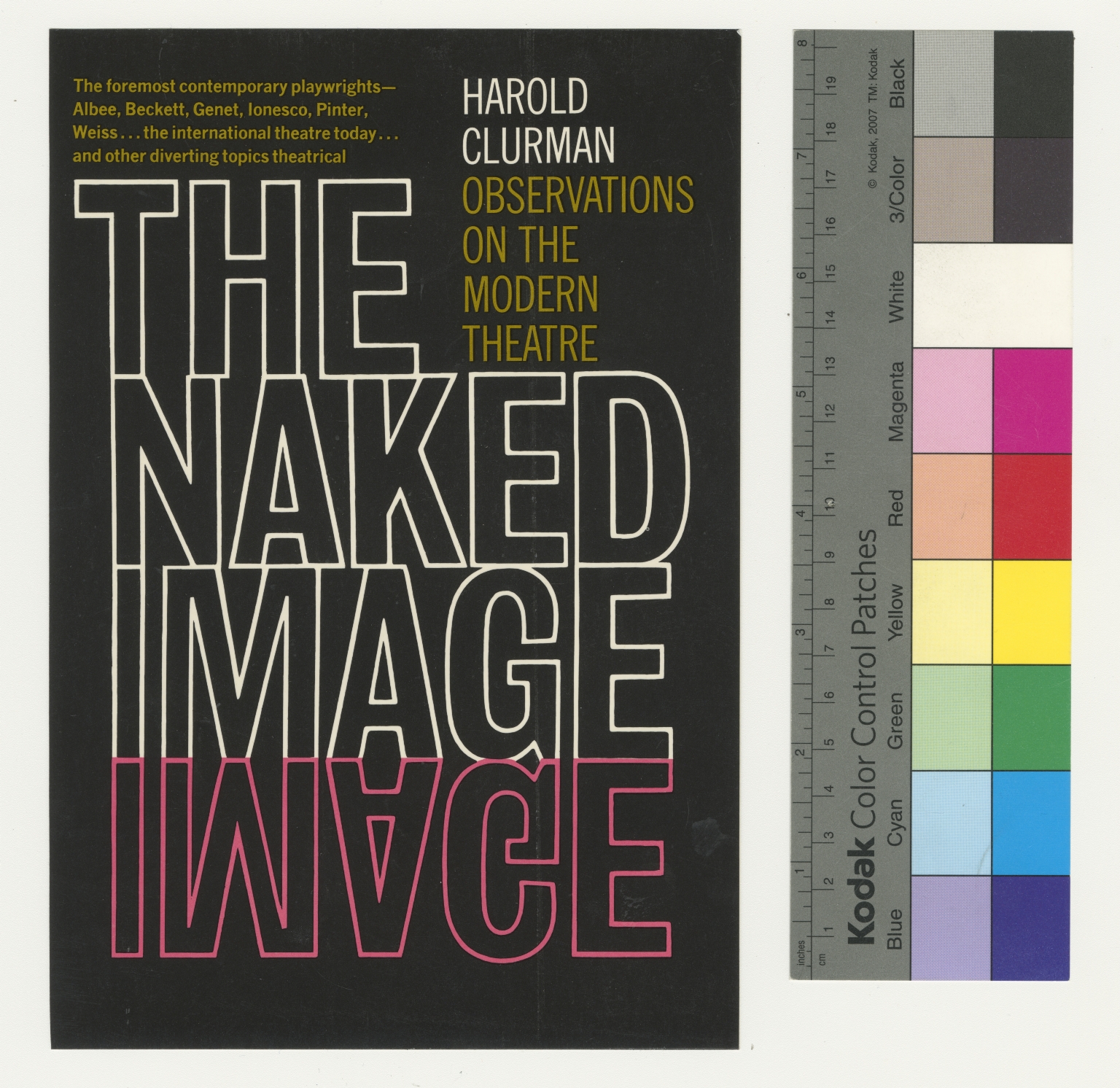 The Naked Image