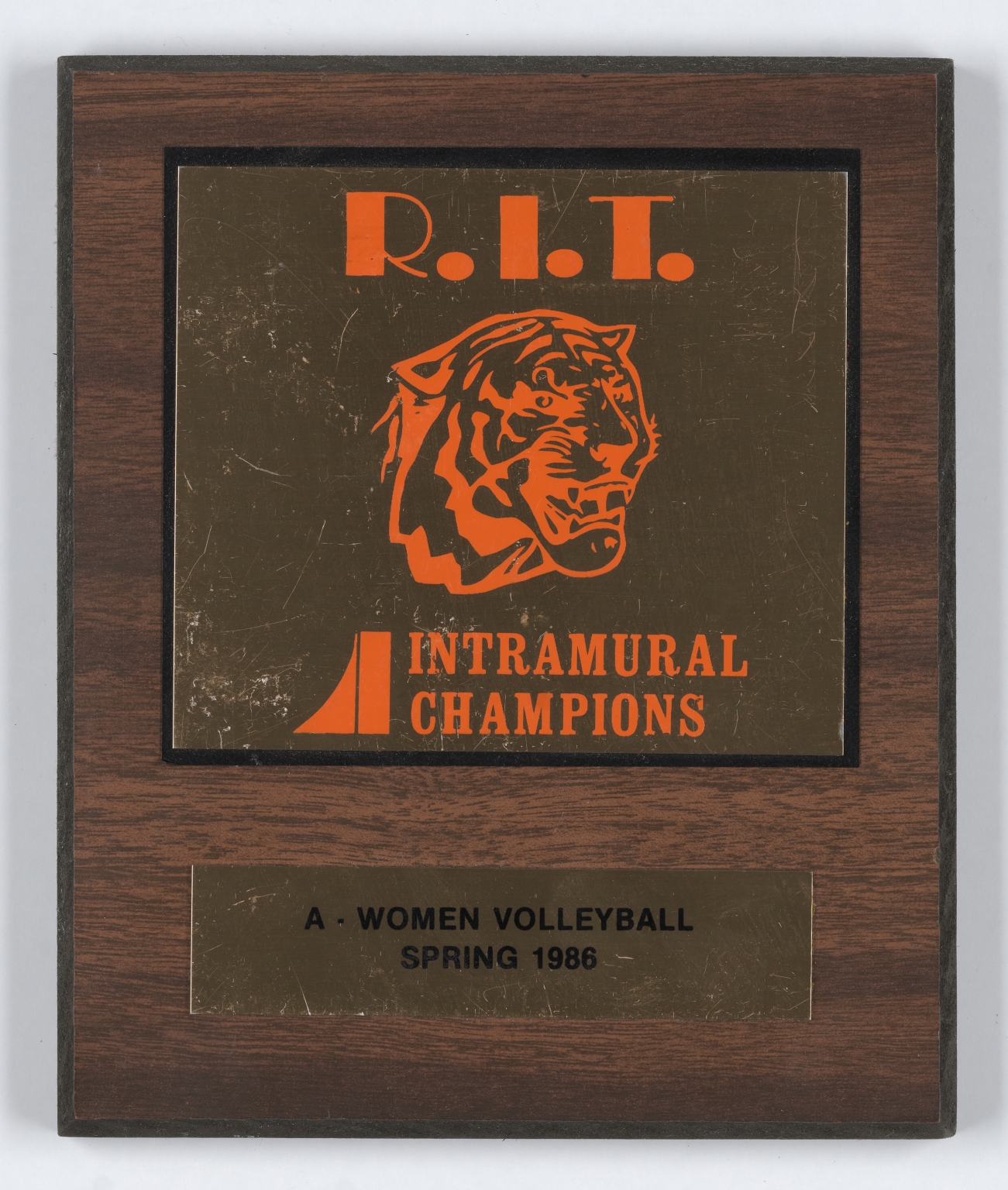 Intramural Champions volleyball plaque